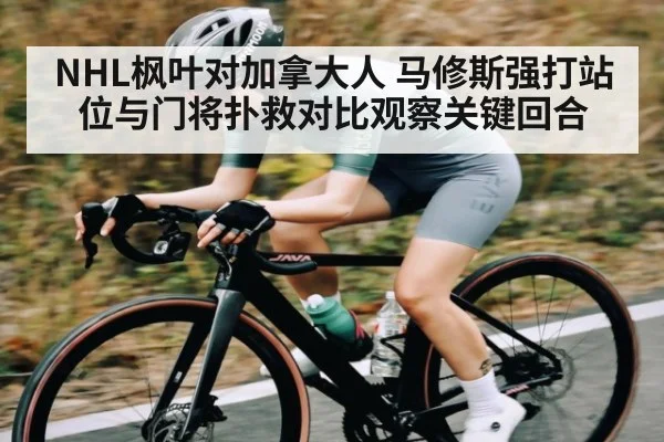 NHL枫叶对加拿大人 马修斯强打站位与门将扑救对比观察关键回合